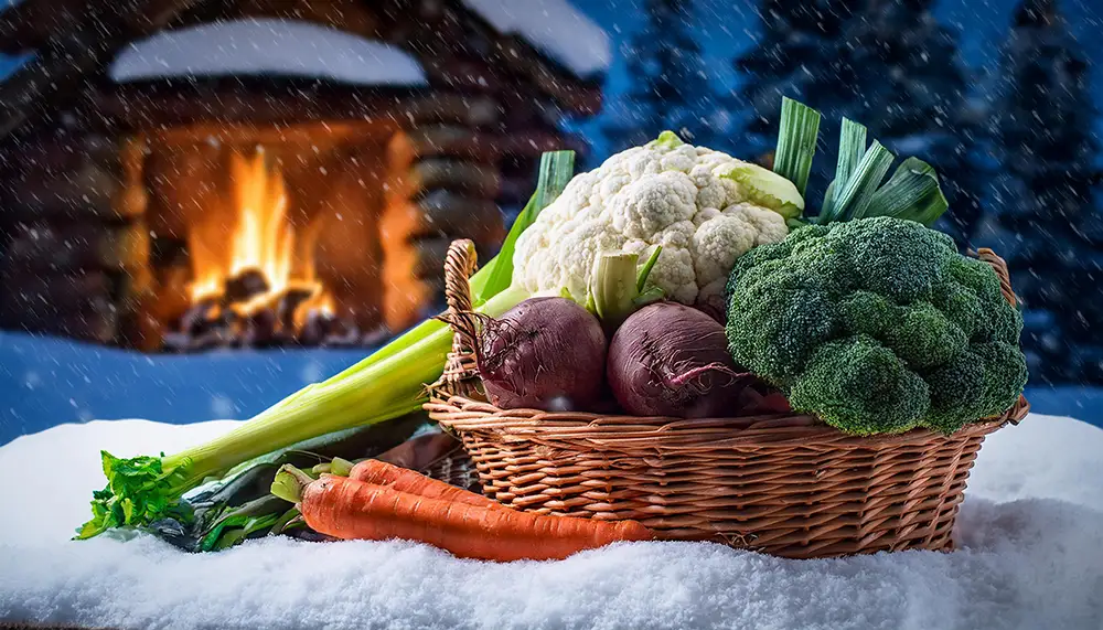 Aliments de saison en février prix, poids et portions moyennes NutriCEC