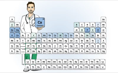 Calcium et sport : optimisez vos apports pour votre santé et vos performances