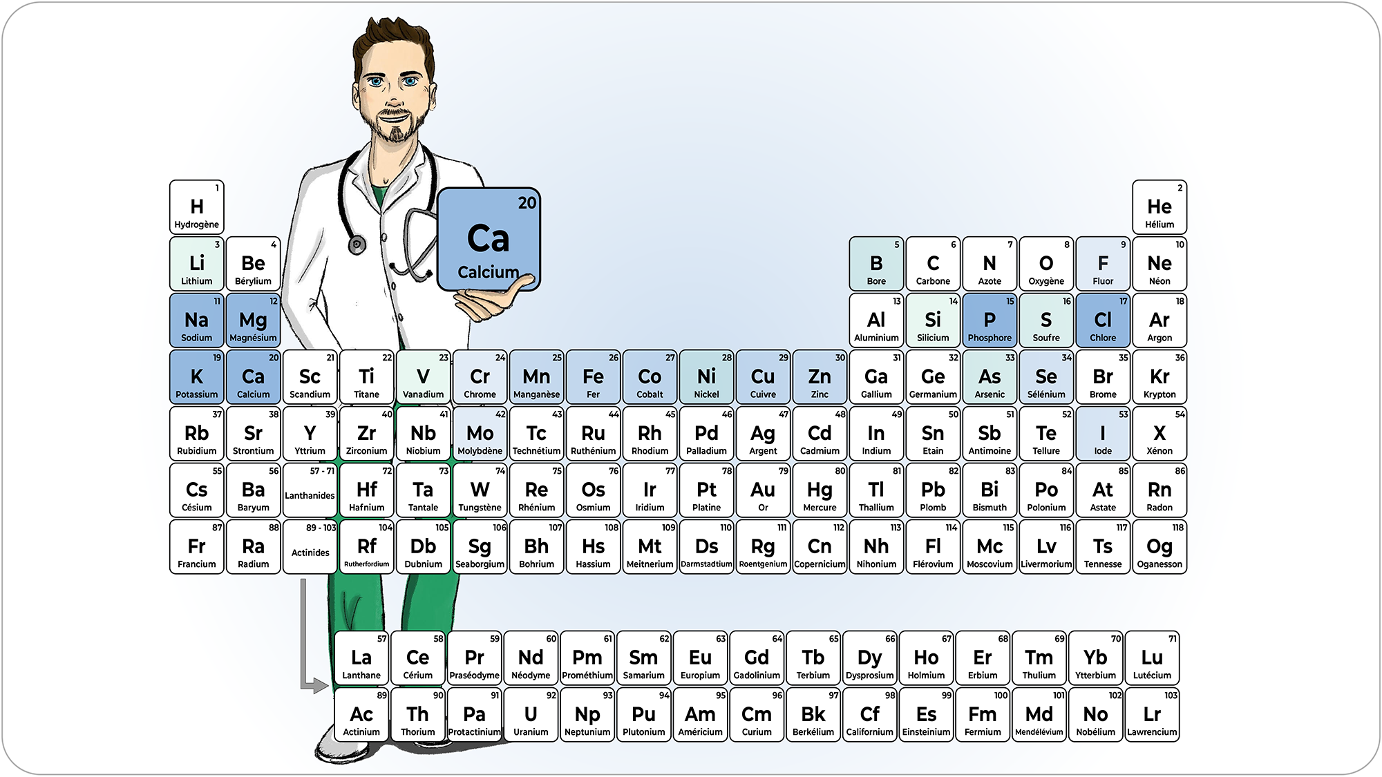 Le calcium et le sport NutriCEC Le calcium et le sport NutriCEC