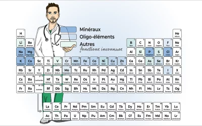 Les minéraux en nutrition : sels minéraux, électrolytes et oligo-éléments