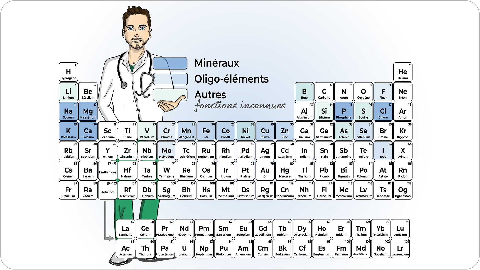 Les minéraux en nutrition – sels minéraux, électrolytes et oligo-éléments NutriCEC Les minéraux en nutrition - sels minéraux, électrolytes et oligo-éléments NutriCEC