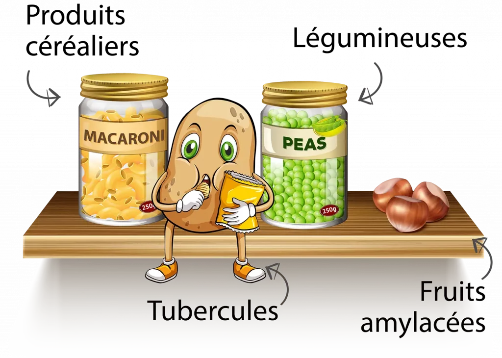 Féculents